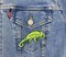 Green Shimmery Chameleon, Lizard, Facing Right, Embroidered Iron-on Patch